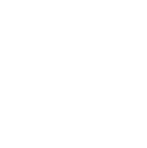 Icon Telefon